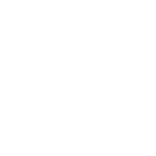 AUNERO Live To Ride